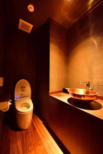 Bathroom 4, Hakone Airu, Hakone
