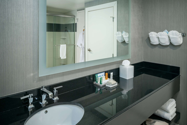Bathroom 4, Hilton Brentwood/Nashville Suites, Williamson