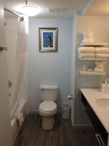 Bathroom 4, Hampton Inn Tampa/Rocky Point-Airport, Hillsborough