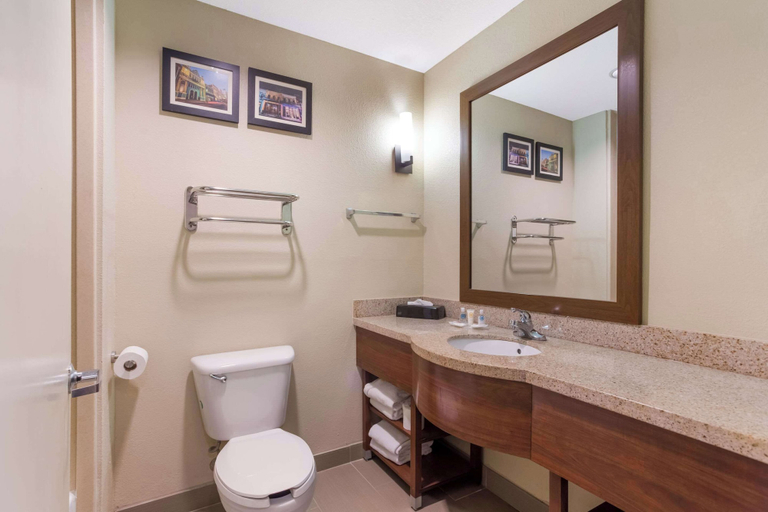 Bathroom 3, Comfort Suites Saraland - North Mobile, Mobile
