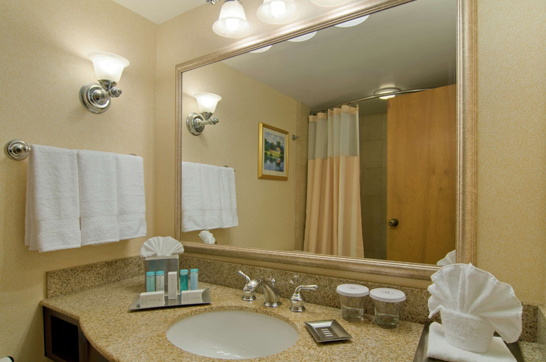 Bathroom 4, Hilton Raleigh North Hills, Wake