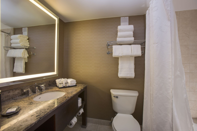 Bathroom 5, Sheraton Orlando North Hotel, Orange