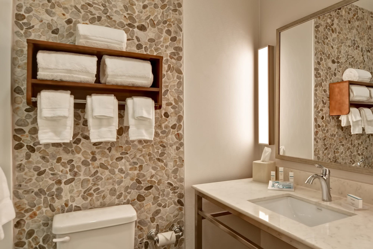 Bathroom 3, Hilton Garden Inn Phoenix/Tempe ASU Area, Maricopa