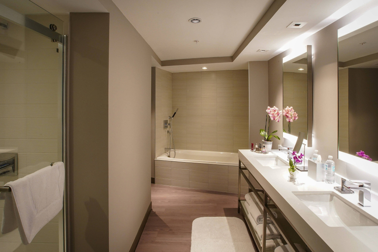 Bathroom 5, San Juan Marriott Resort and Stellaris Casino