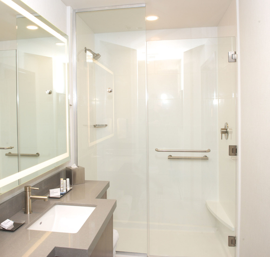 Bathroom 4, SpringHill Suites by Marriott Bend, Deschutes
