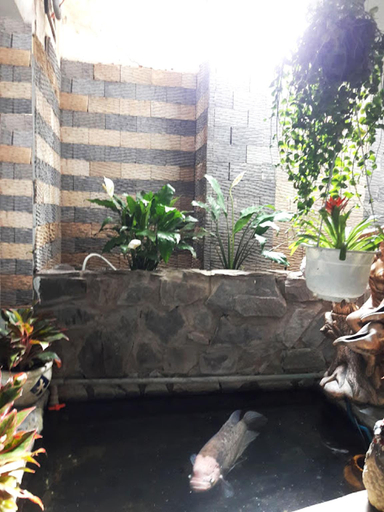 Others 4, Quang Sang Hotel Can Tho, Ninh Kiều