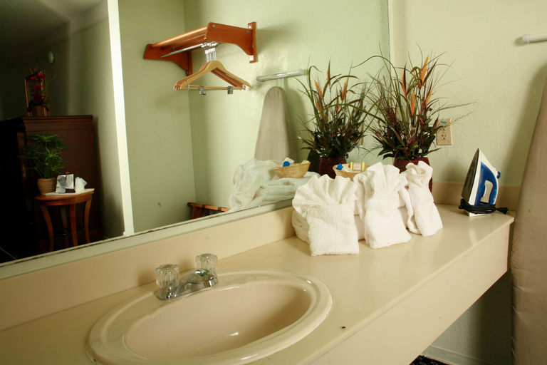 Bathroom 5, Magnuson Hotel Little Rock South, Pulaski