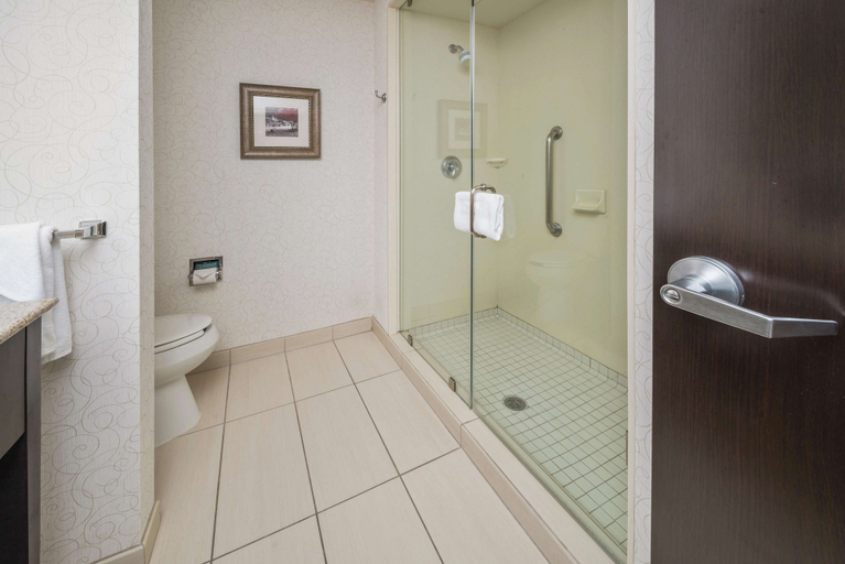 Bathroom 4, Hampton Inn & Suites Tulsa/Catoosa, Rogers