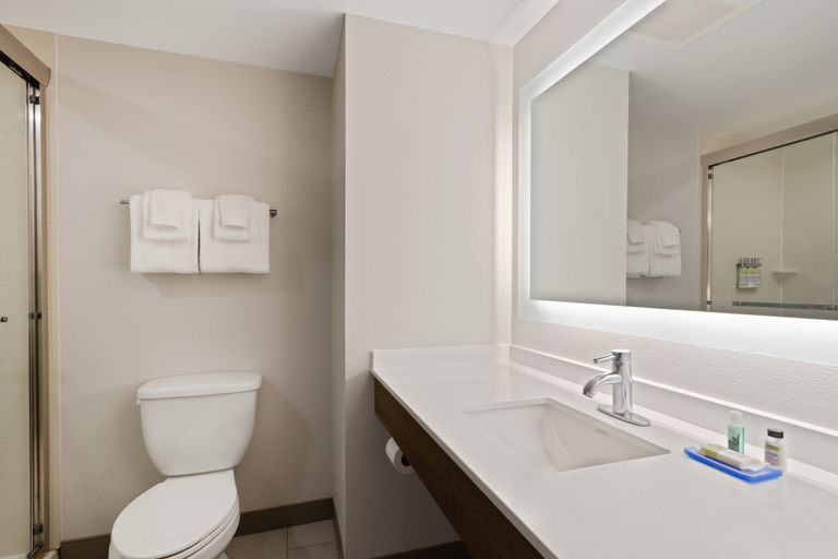 Bathroom 4, Holiday Inn Express & Suites LARGO-CLEARWATER by IHG, Pinellas