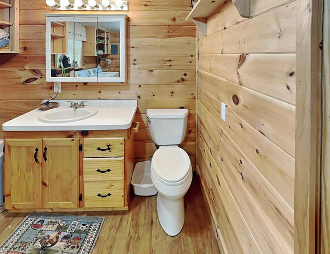 Bathroom 4, Mcalister Nest, Sevier