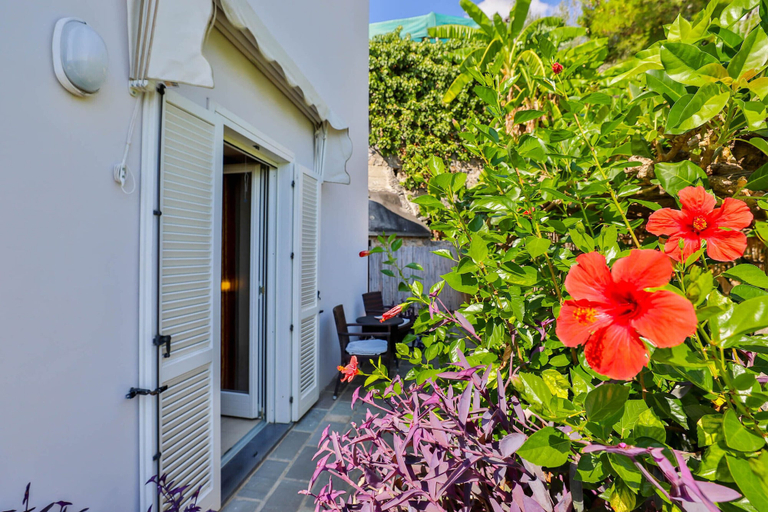 Exterior & Views 2, Villa Santa Maria - Luxury Country House, Salerno