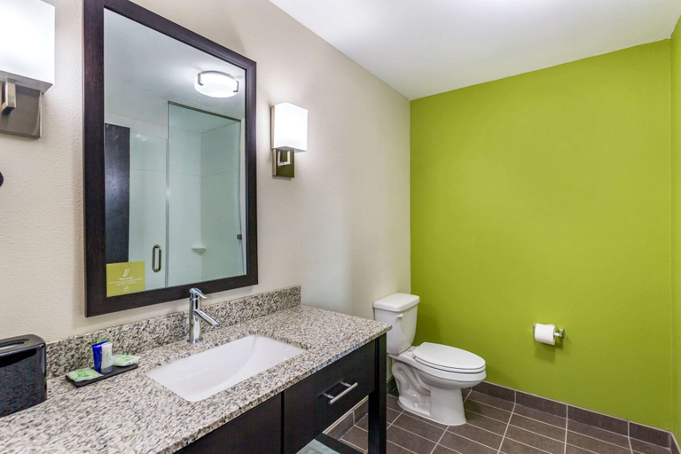 Bathroom 4, Sleep Inn & Suites Gallatin - Nashville Metro, Sumner