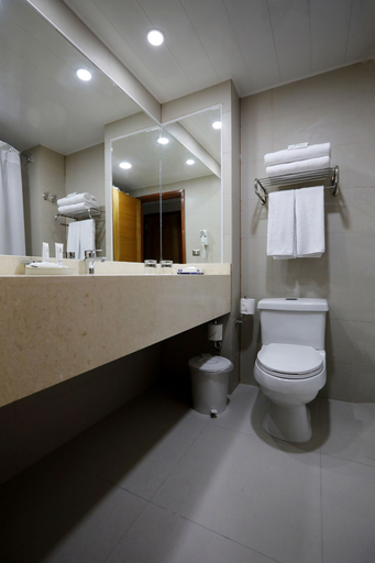 Bathroom 4, Diego de Almagro Viña del Mar, Valparaíso