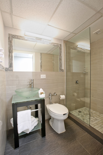 Bathroom 4, San Juan Airport Hotel