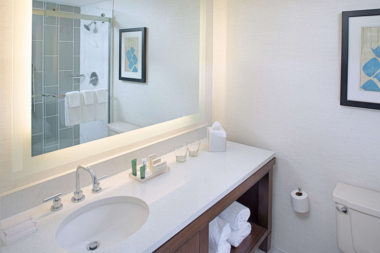 Bathroom 4, Hilton Boston/Dedham, Norfolk