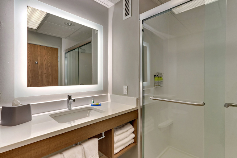 Bathroom 4, Holiday Inn Express & Suites BAD AXE by IHG, Huron