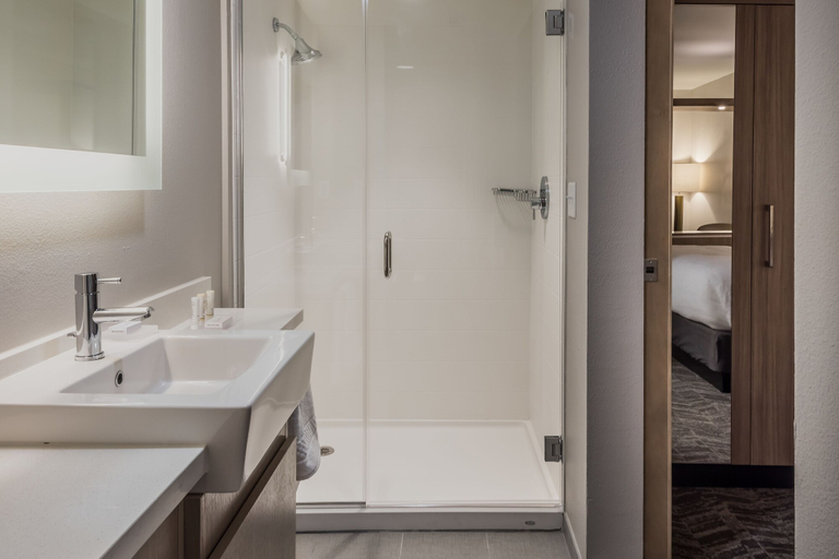 Bathroom 5, SpringHill Suites by Marriott Fort Worth Historic Stockyards, Fort Worth