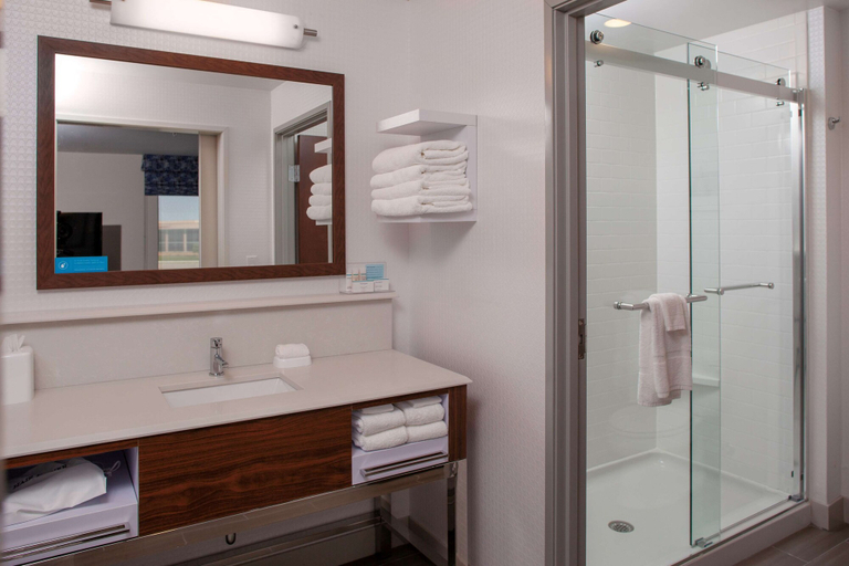 Bathroom 4, Hampton Inn & Suites Chicago-Burr Ridge, Dupage