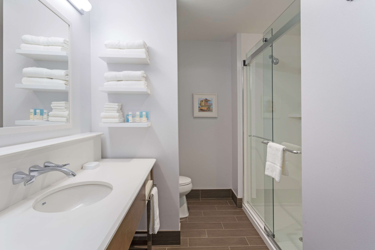 Bathroom 4, Hampton Inn Fort Lauderdale Pompano Beach, Broward