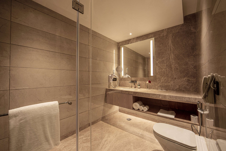 Bathroom 4, THE GAURS SAROVAR PREMIERE, Gautam Buddha Nagar