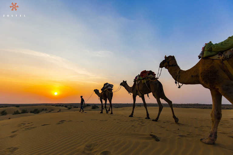 Others 1, Zostel Sam Desert (Jaisalmer), Jaisalmer