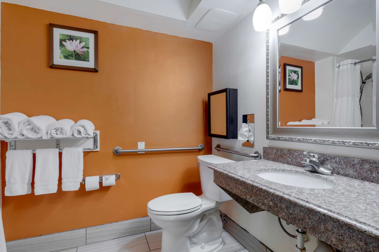 Bathroom 4, Best Western Plus Rockwall Inn & Suites, Rockwall
