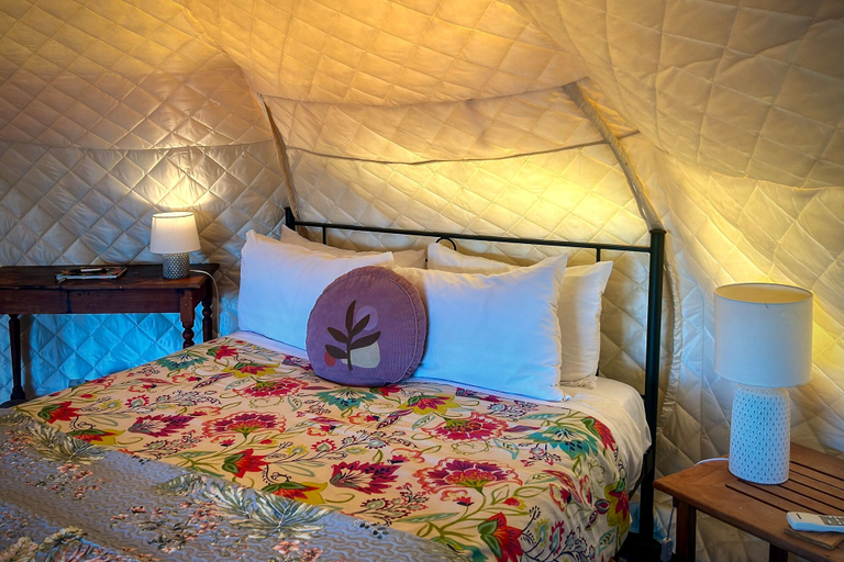 Others 5, Te Tiro Accommodation, Waitomo