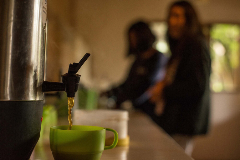 Food & Drinks 5, Rossco Hostel, San Cristóbal de las Casas