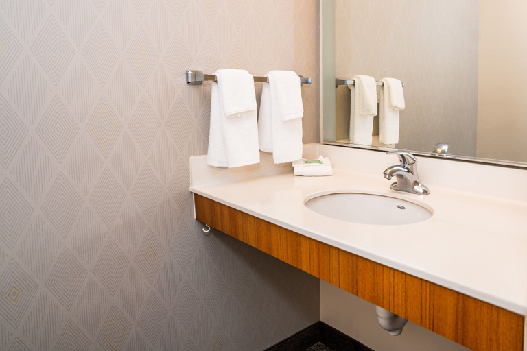 Bathroom 4, SpringHill Suites by Marriott San Antonio Alamo Plaza/Convention Center, Bexar