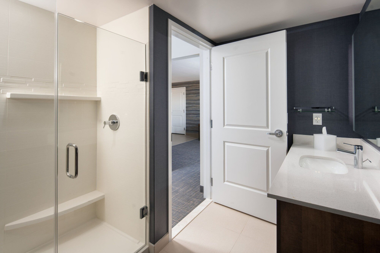 Bathroom 3, Residence Inn by Marriott Tampa Wesley Chapel, Pasco