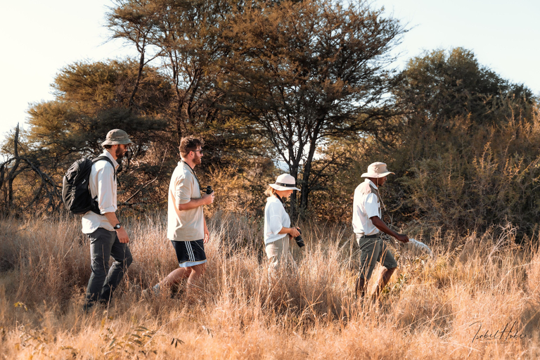 Others 5, Gabus Safari Lodge, Otavi