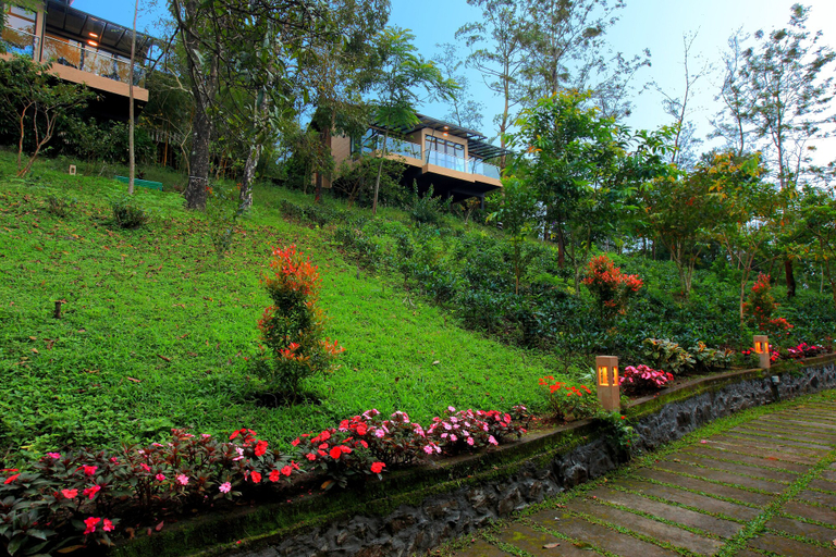 scenery 7