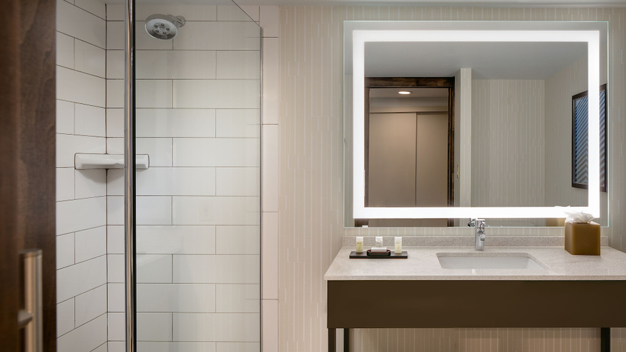Bathroom 5, Embassy Suites by Hilton Dallas Love Field, Dallas