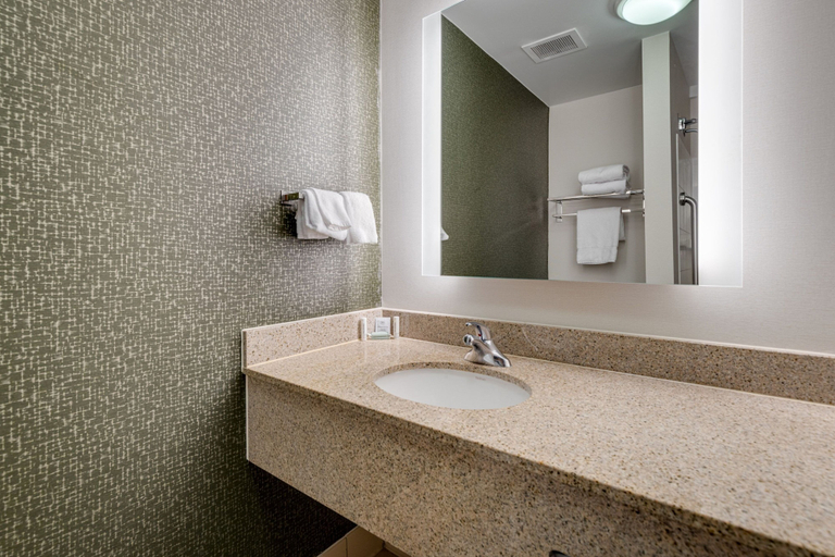 Bathroom 3, Fairfield Inn and Suites by Marriott Lawton, Comanche