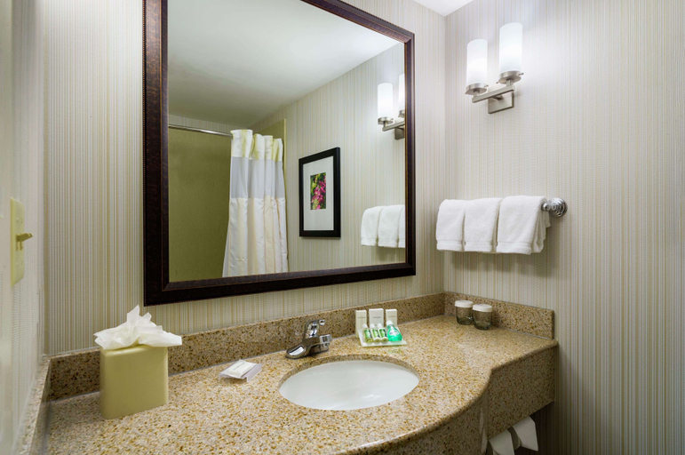 Bathroom 4, Hilton Garden Inn Edison/Raritan Center, Middlesex