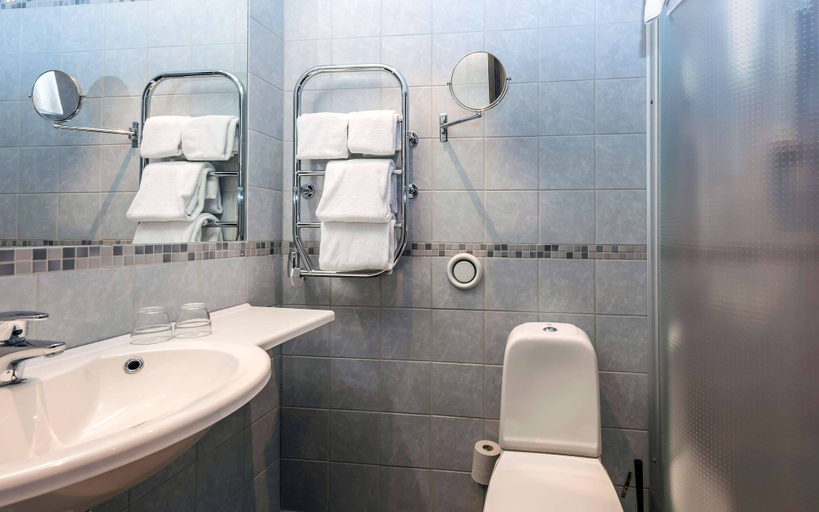 Bathroom 4, ホテル ベルビュー, Hjo