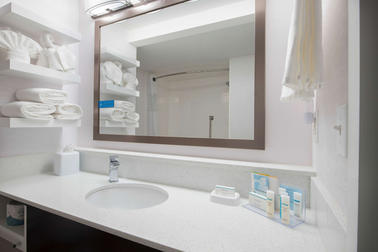 Bathroom 5, Hampton Inn & Suites Atlanta Galleria, Cobb