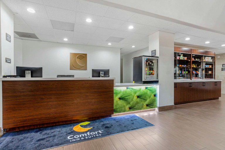 Public Area 2, Comfort Suites Houston NW - Vintage Park, Houston