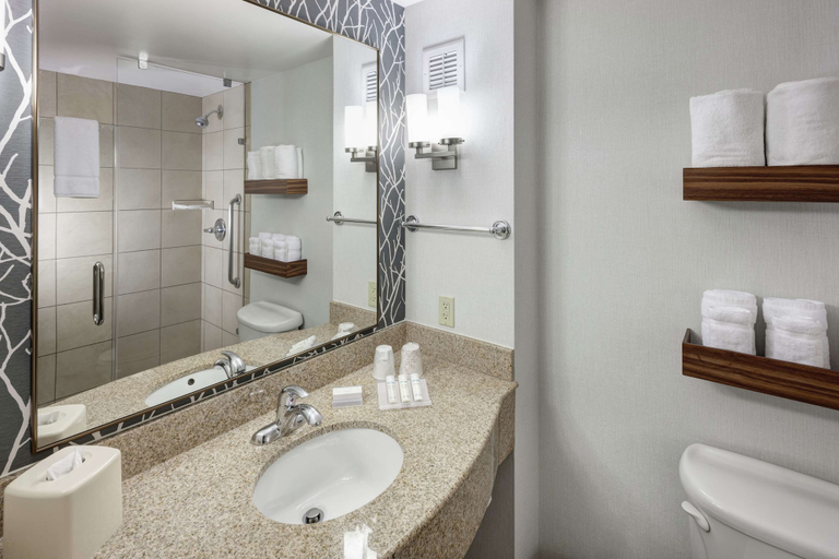 Bathroom 4, Hilton Garden Inn Lake Forest Mettawa, Lake