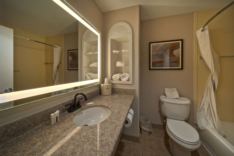 Bathroom 5, Wingate by Wyndham Houston Bush Intercontinental Airport, Houston