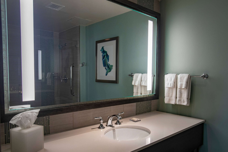 Bathroom 5, Wyndham Grand Jupiter at Harbourside Place, Palm Beach