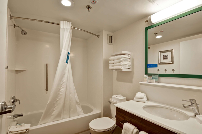 Bathroom 4, Hampton Inn Albany-Wolf Road (Airport), Albany