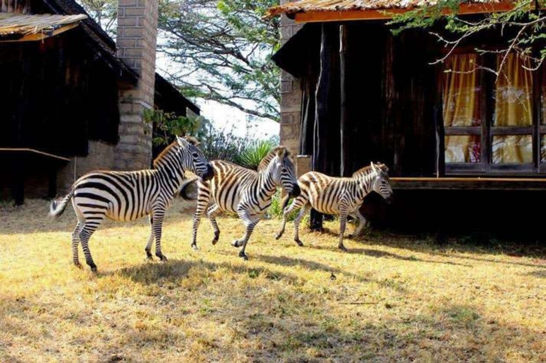 Others 4, Maralal Safari Lodge, Samburu West