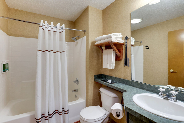 Bathroom 5, Stoney Creek Hotel Peoria, Tazewell