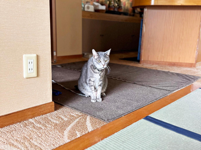 Bedroom 3, Yumeya Hanatsukushi, Awara