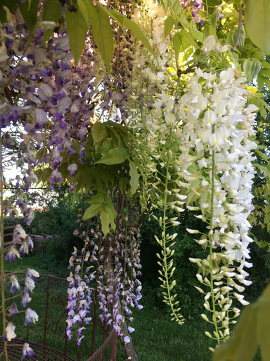 Others 4, Agriturismo SetteLune, Reggio Nell'Emilia