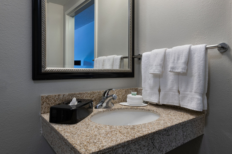 Bathroom 4, Courtyard by Marriott Dallas Arlington/Entertainment Dist, Arlington