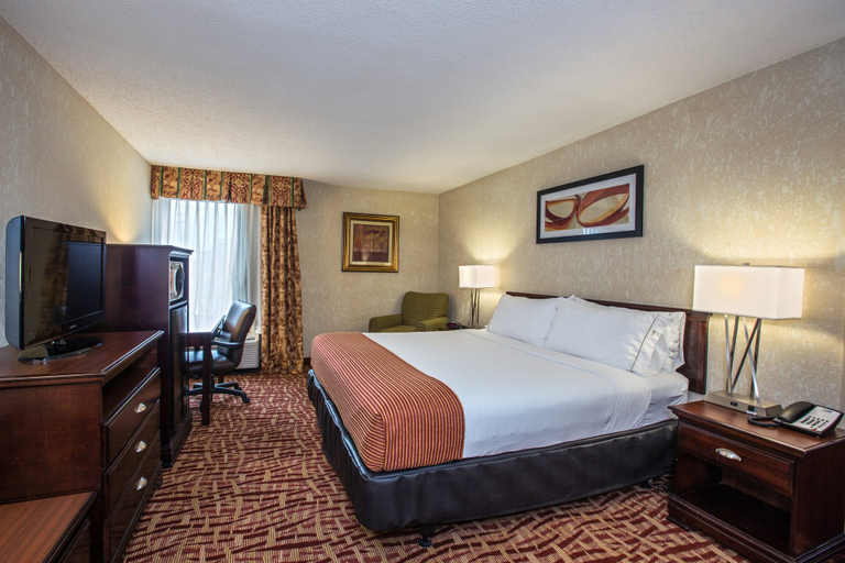 Holiday Inn Express Hotel & Suites Corinth Room Type - 1 King Bed Standard Mobil Access Tub