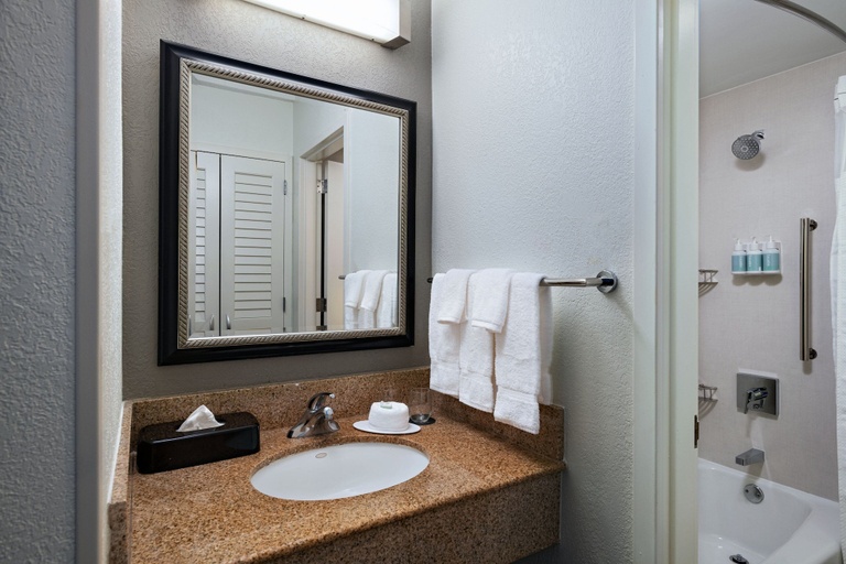 Bathroom 4, Courtyard by Marriott Dallas Arlington/Entertainment Dist, Arlington