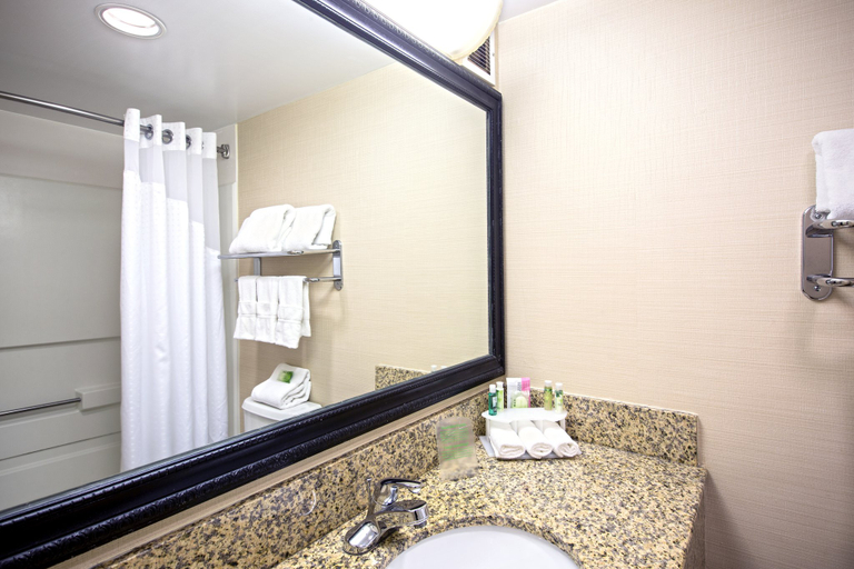 Bathroom 5, Holiday Inn Express & Suites CORINTH by IHG, Alcorn